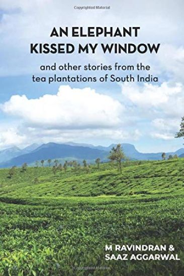 An elephant kissed my window