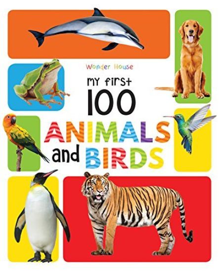 My First 100 Animals and Birds: Padded Board Books