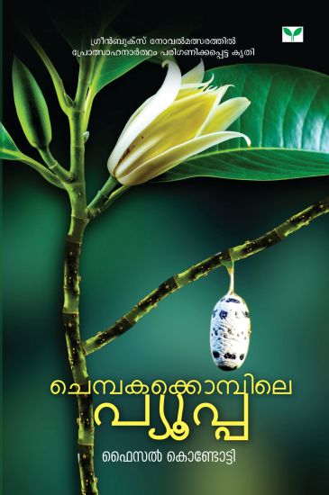 Chembakakkompile Pupa