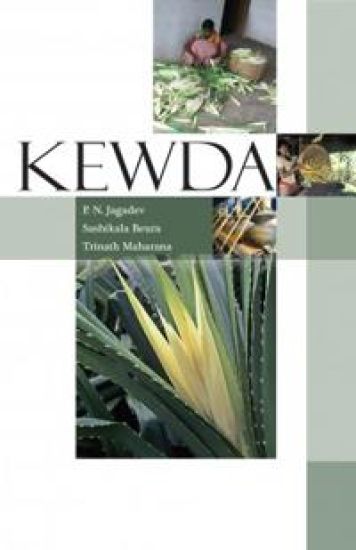 Kewda