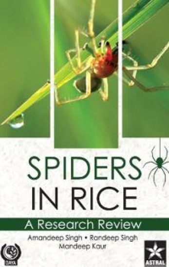 Spiders in Rice