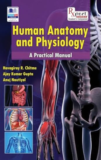 Human Anatomy and Physiology