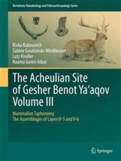 The Acheulian Site of Gesher Benot  Ya‘aqov  Volume III