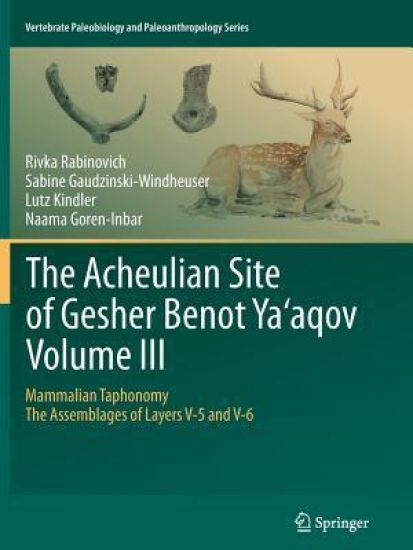 The Acheulian Site of Gesher Benot  Ya‘aqov  Volume III
