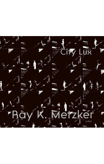 Ray K. Metzker: City Lux