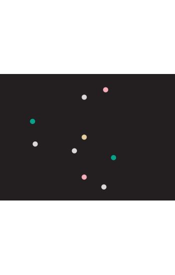 Suki Seokyeong Kang - Black Mat Oriole