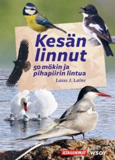 IS Kesän linnut