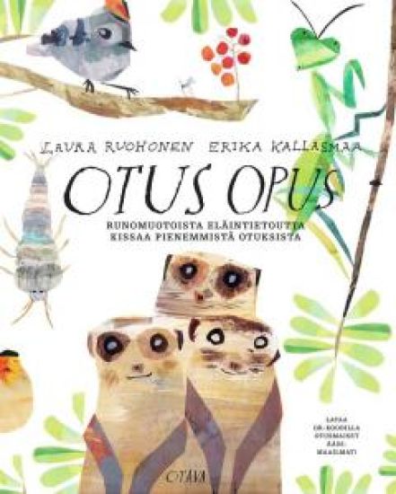 Otus opus