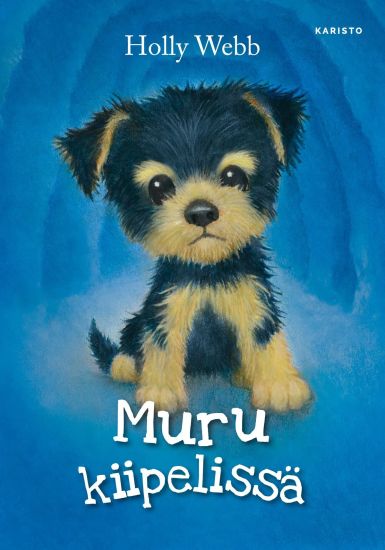 Kansikuva: Muru kiipelissä