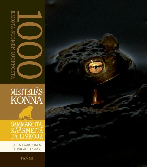 Mietteliäs konna