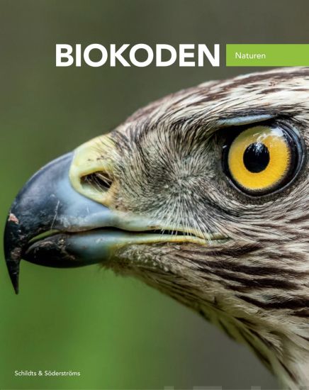 Biokoden 8 Textbok