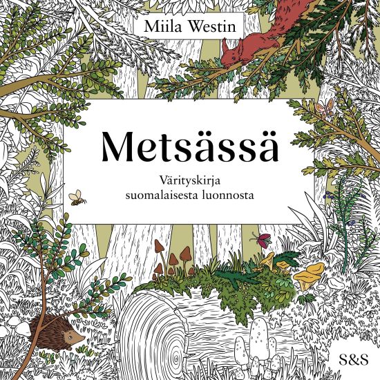 Kansikuva: Metsässä