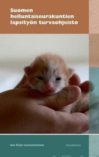 Suomen helluntaiseurakuntien lapsityön turvaohjeisto