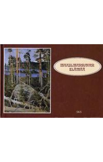 Maailmannavan elämää