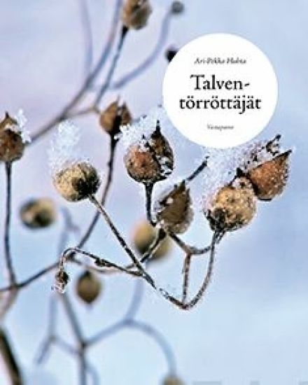 Talventörröttäjät