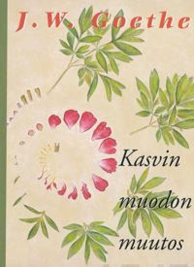 Kasvin muodonmuutos