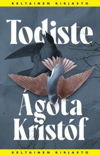 Todiste