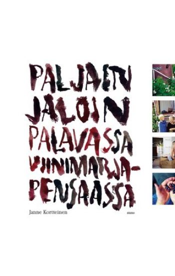 Paljain jaloin palavassa viinimarjapensaassa