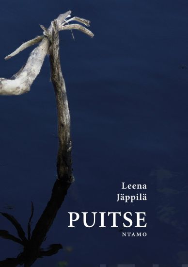 Puitse