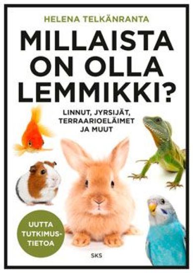 Millaista on olla lemmikki?