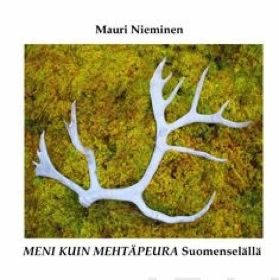 Meni kuin mehtäpeura Suomenselällä