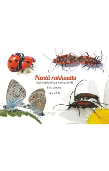 Pientä rakkautta