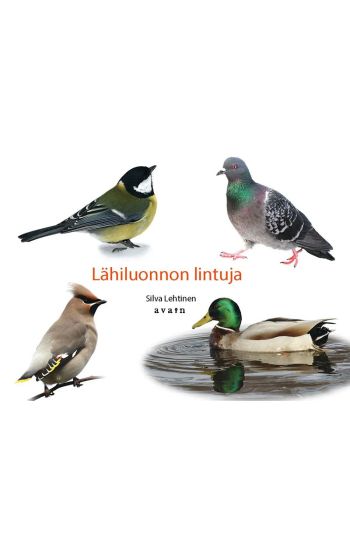 Kansikuva: Lähiluonnon lintuja