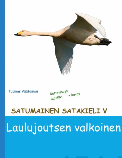 Laulujoutsen valkoinen