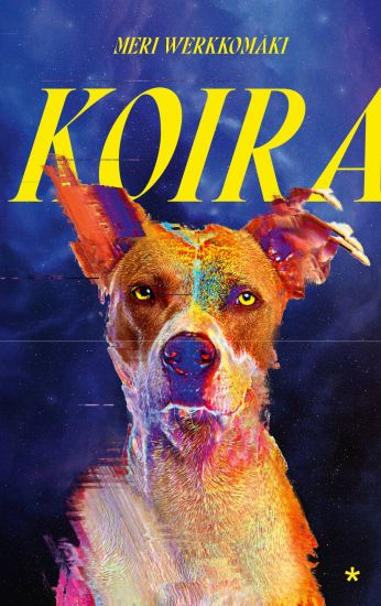 Koira
