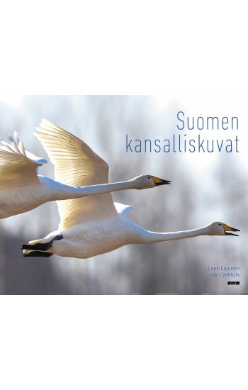 Suomen kansalliskuvat