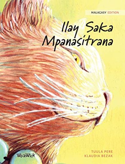 Ilay Saka Mpanasitrana