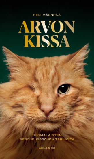 Arvon kissa