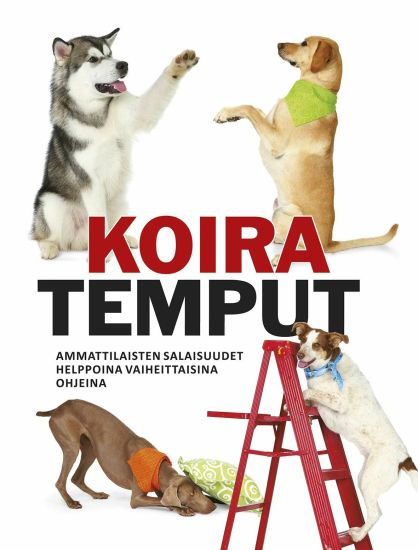 Koiratemput
