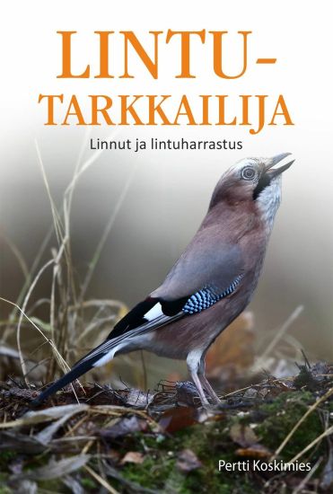 Kansikuva: Lintutarkkailija