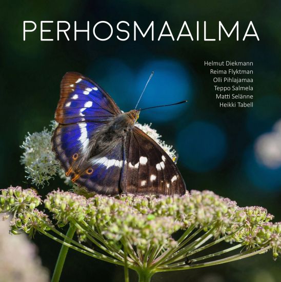 Kansikuva: Perhosmaailma
