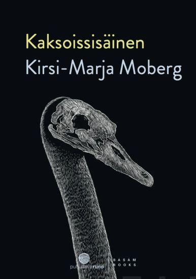 Kaksoissisäinen