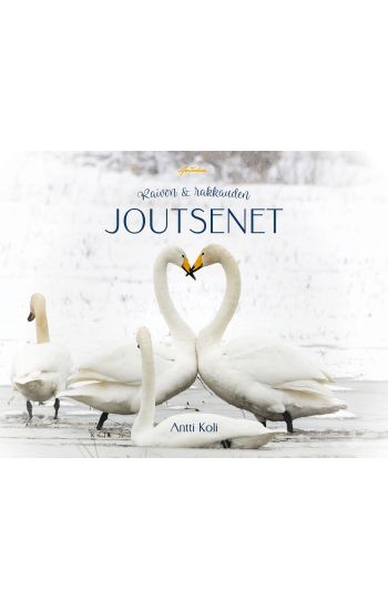 Raivon ja rakkauden  joutsenet