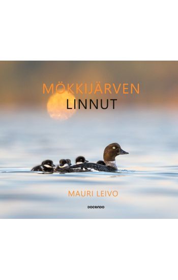Kansikuva: Mökkijärven linnut