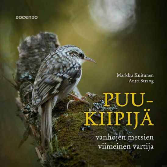 Puukiipijä