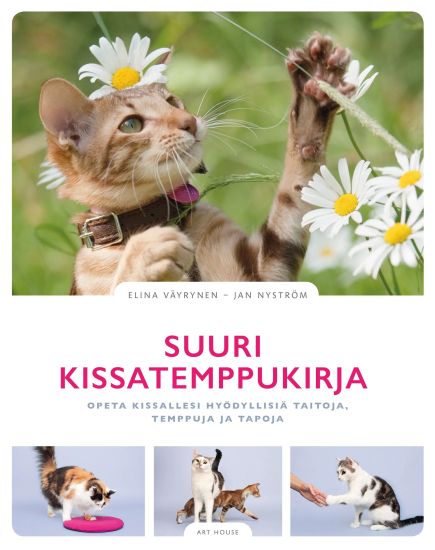 Kansikuva: Suuri kissatemppukirja