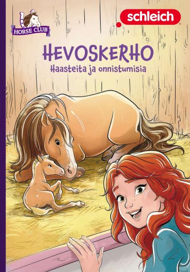 Hevoskerho - Haasteita ja onnistumisia