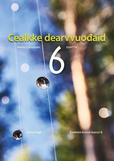 Cealkke Dearvvuodaid 6