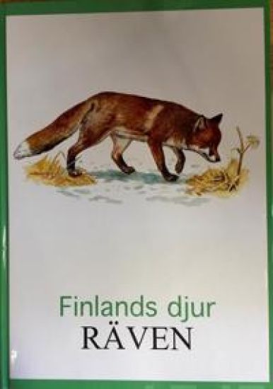 Räven Finlands djur