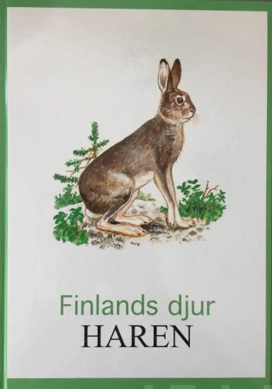 Haren Finlands djur