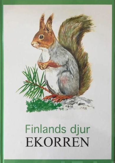 Ekorren Finlands djur