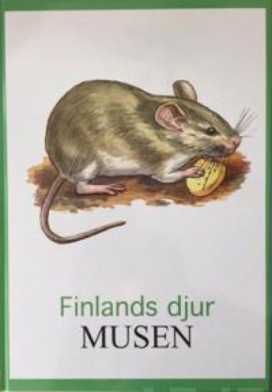 Musen Finlands djur