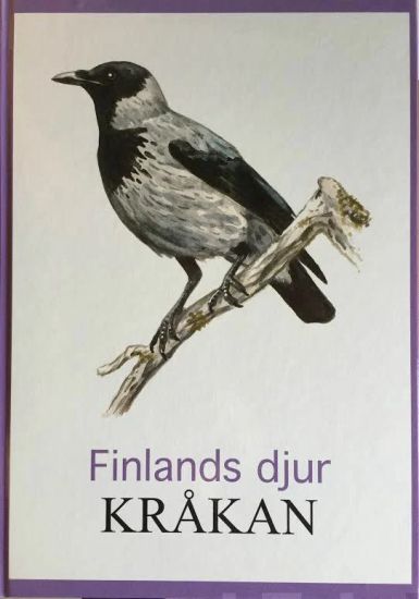 Kråkan Finlands djur