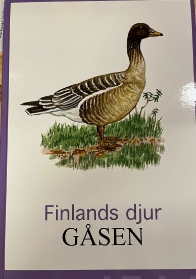 Gåsen Finlands djur