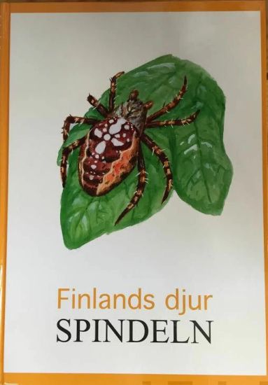 Spindeln Finlands djur