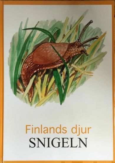 Snigeln Finlands djur
